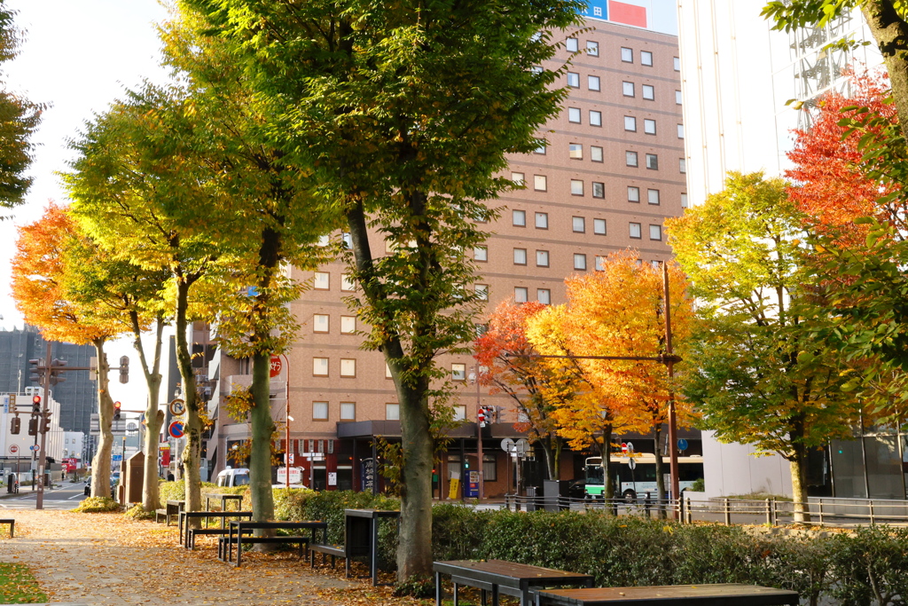 色づく街角で