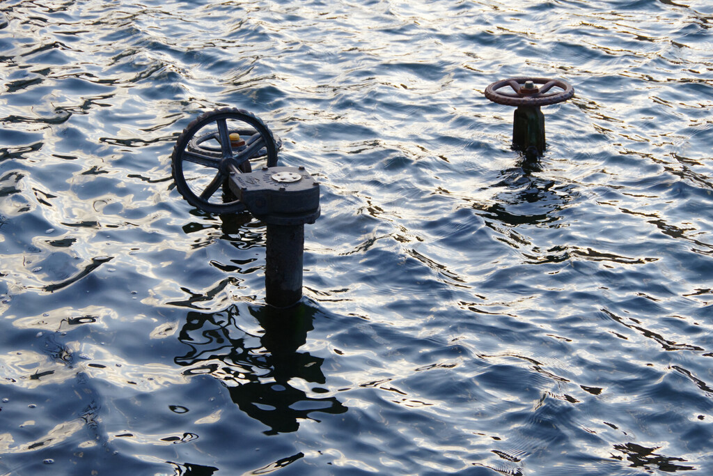 秋田市久保田城お濠にある謎のハンドルふたつ。