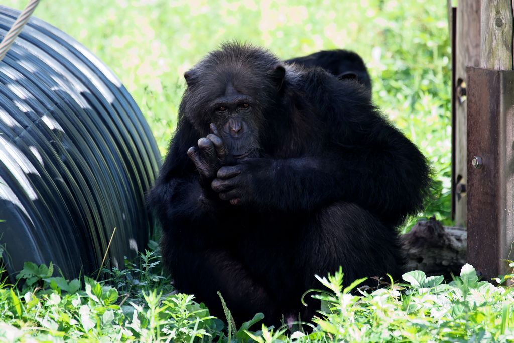 秋田市大森山動物園にて