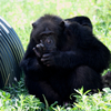 秋田市大森山動物園にて