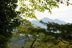 秋の気配