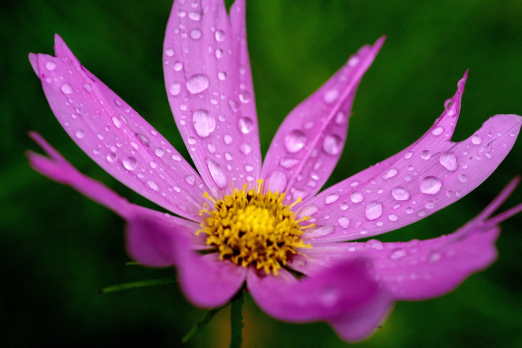 雨やんで