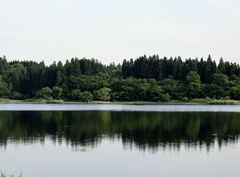 浪しづか