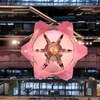 大花時計開花の瞬間5
