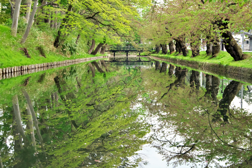 深緑の水面