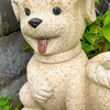 きょうも暑いなぁ
