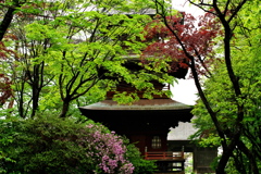 雨上がり