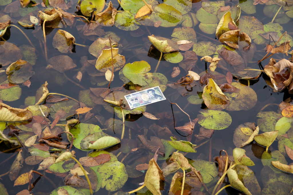 この夏の蓮への感謝の気持ちかな？