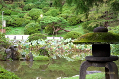 秋の気配