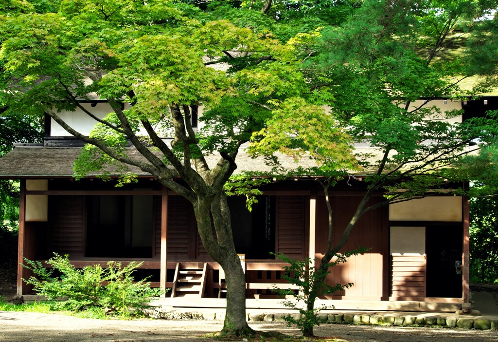 千秋公園を行けば