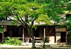 千秋公園を行けば