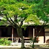 千秋公園を行けば