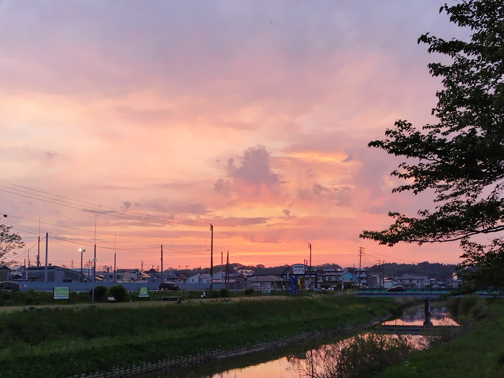 惜別の夕日