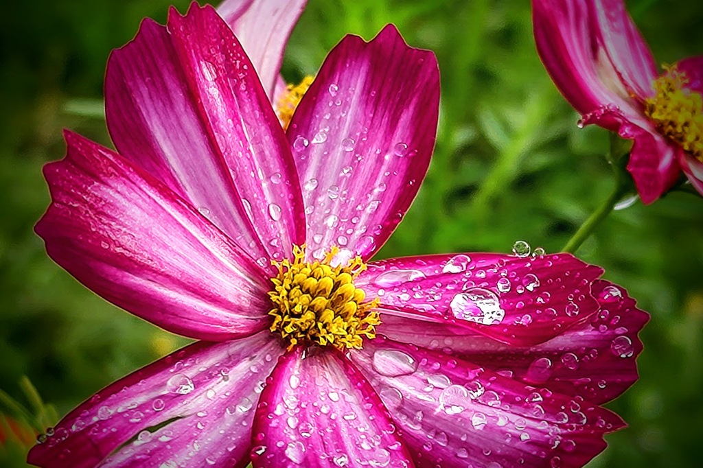 豪雨は去って