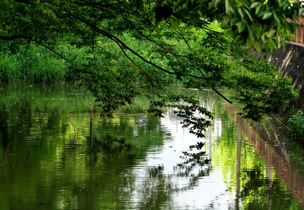 千秋公園を行けば
