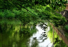千秋公園を行けば