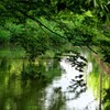千秋公園を行けば