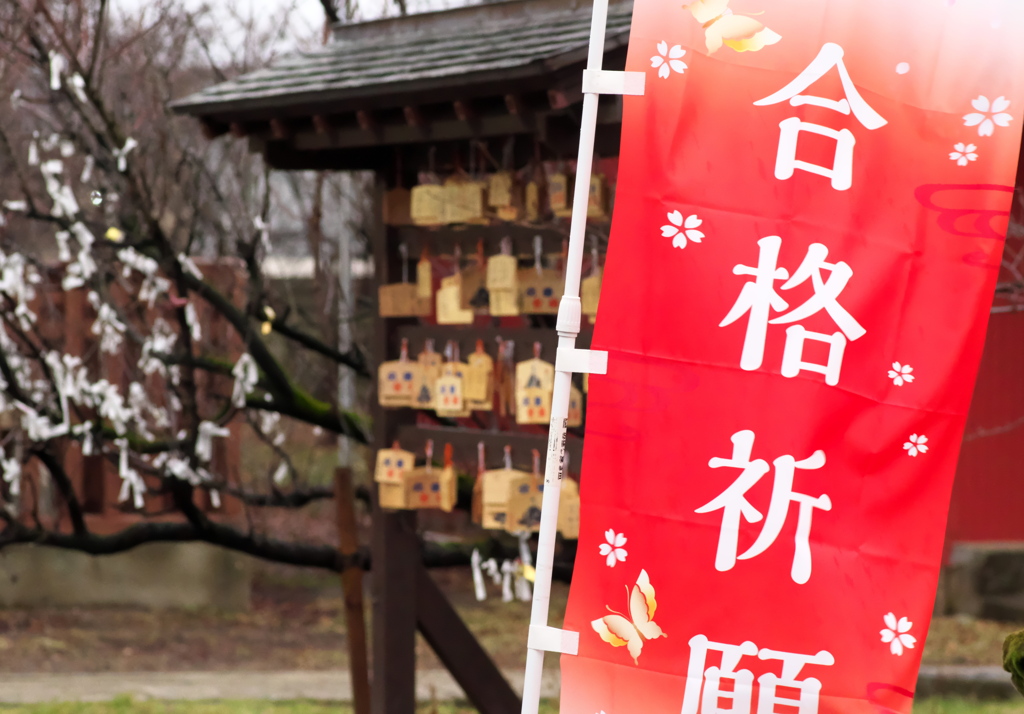 なにを合格というのだろうか？
