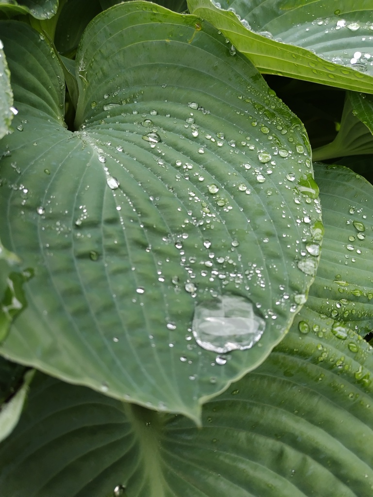 雨あがったよ