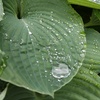雨あがったよ
