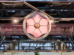 大花時計開花の瞬間3