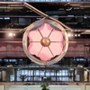 大花時計開花の瞬間3
