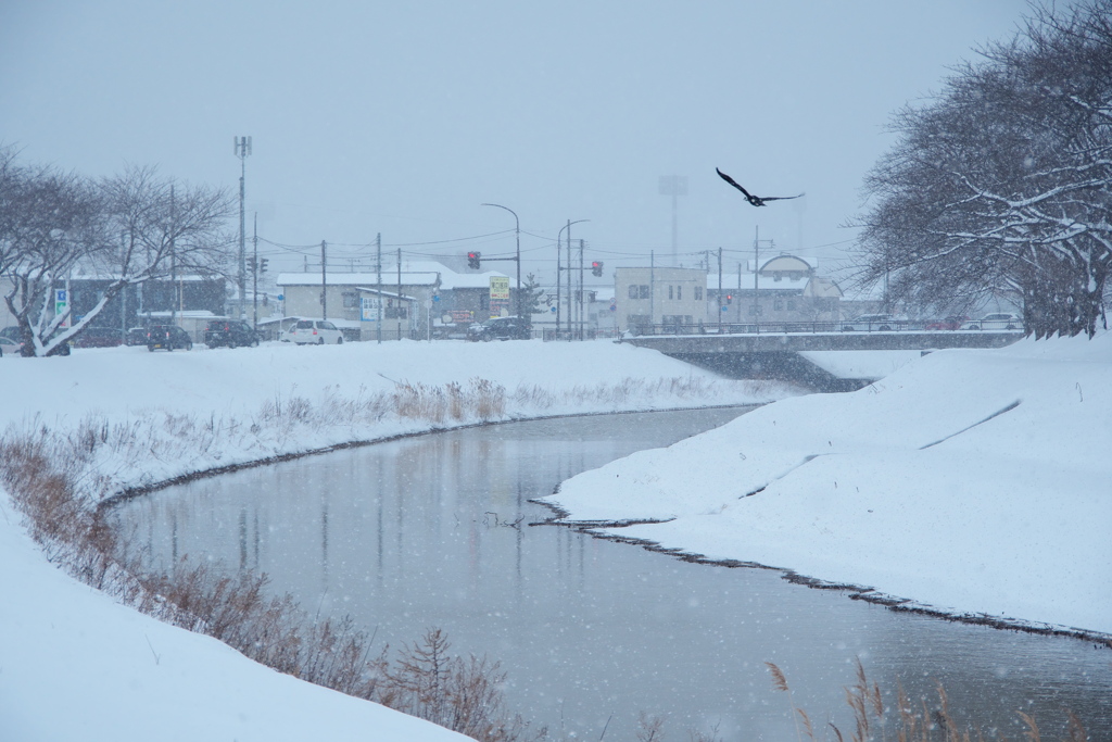 川に降る雪