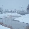 川に降る雪