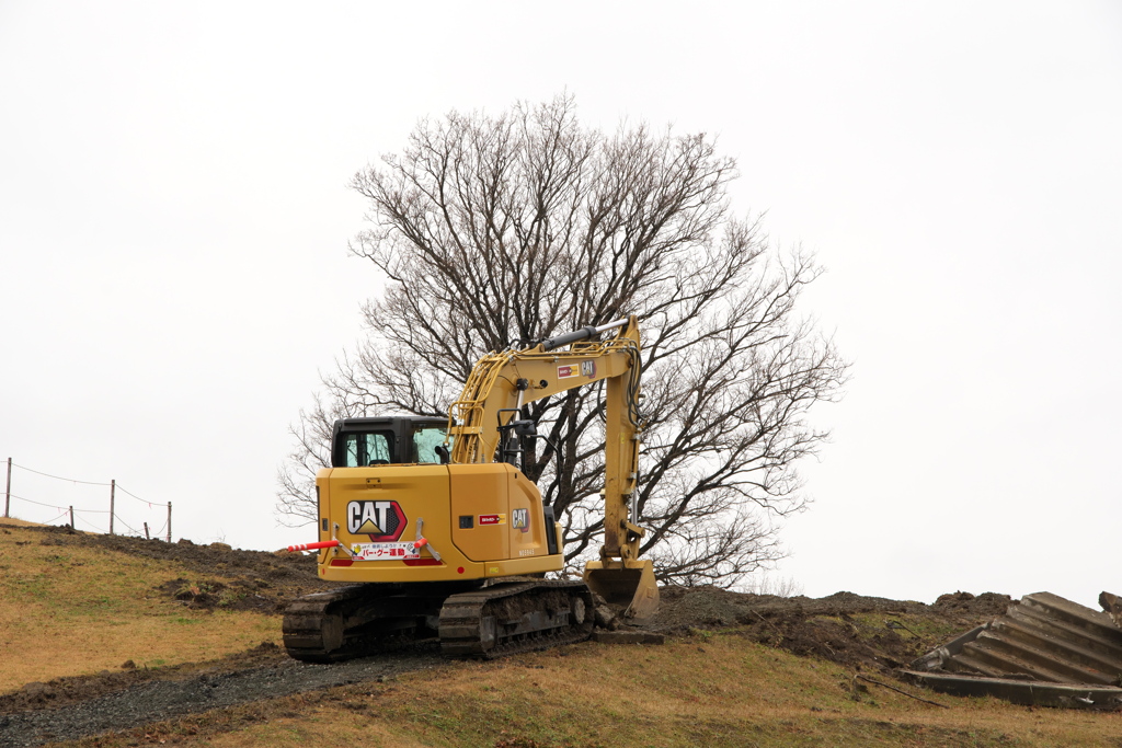 大木、危うし！