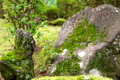 秋の気配
