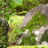 秋の気配