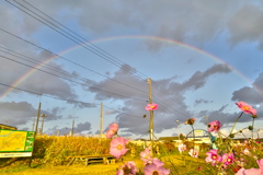 夢のやうな景色だった