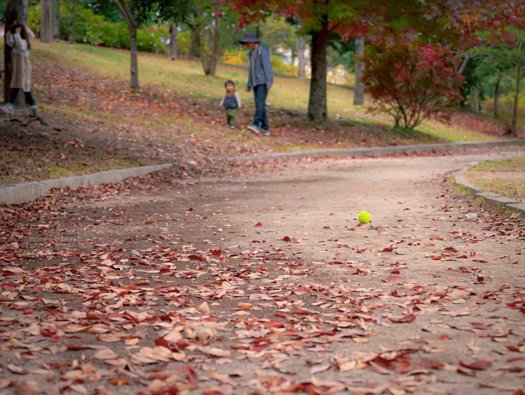 落ち葉の道