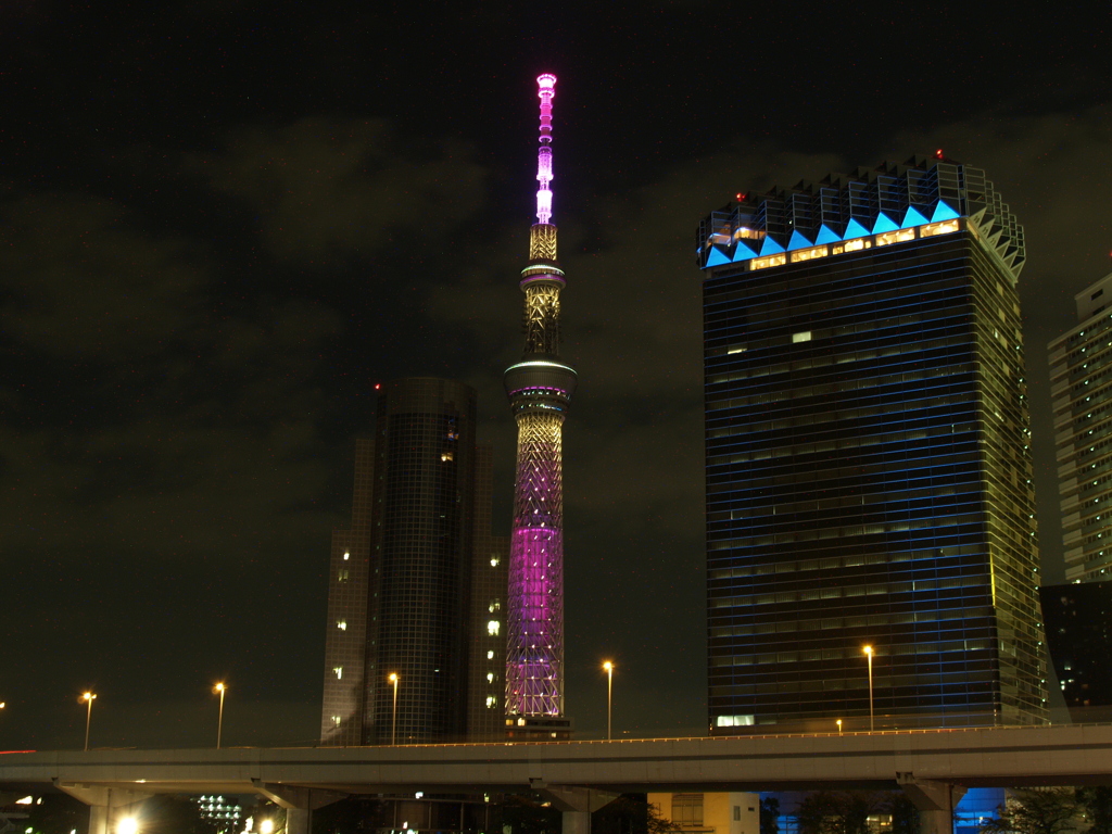 東京スカイツリー(3)
