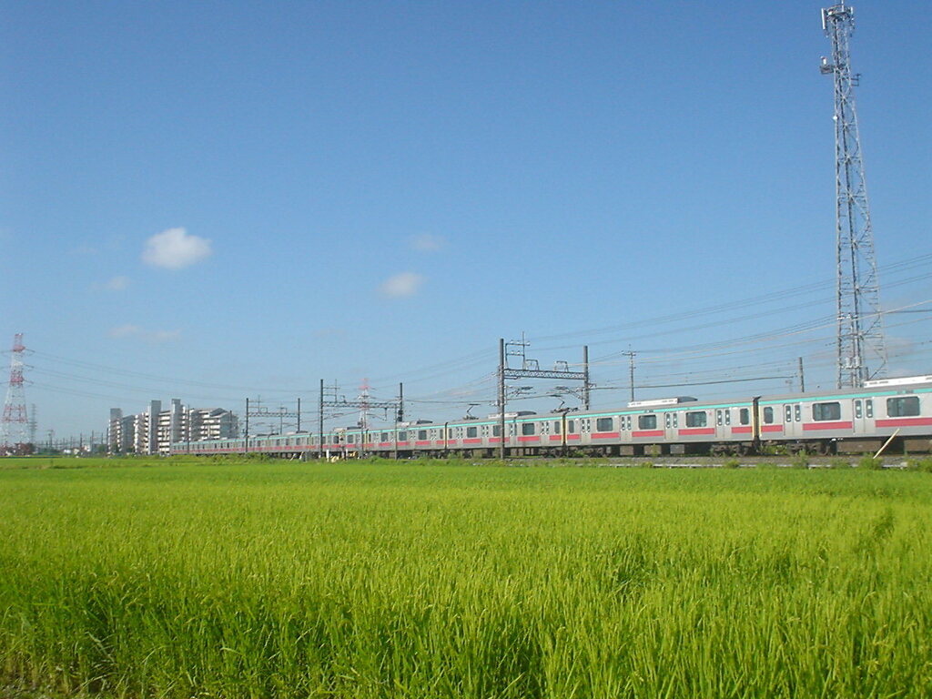 今日も暑くなりそーだ（汗）