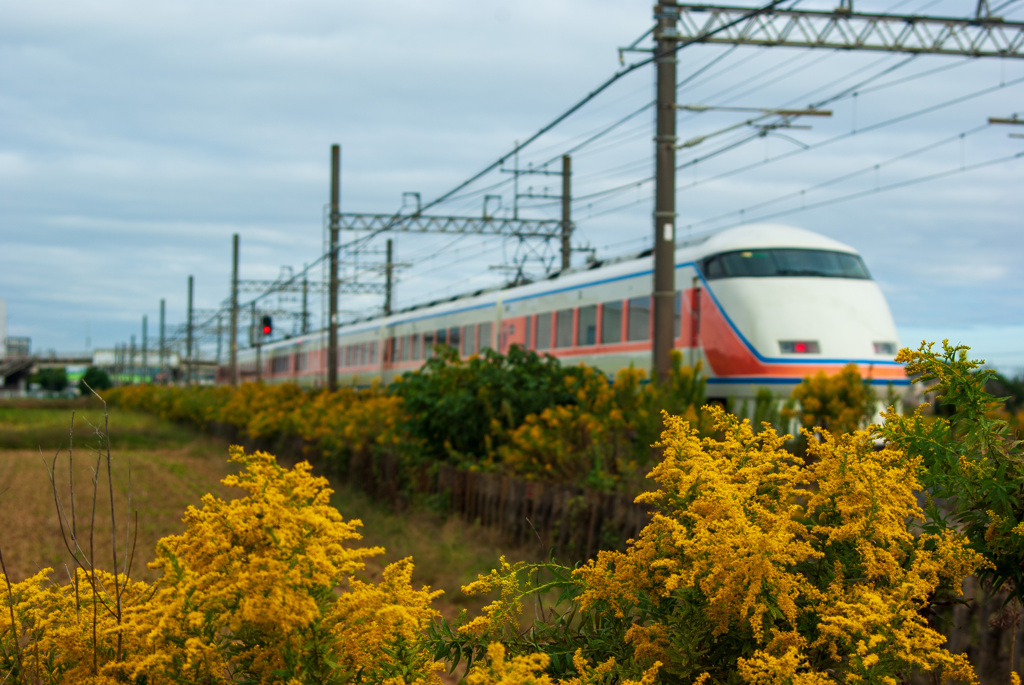 お写ん歩(19)-1（草花×電車）