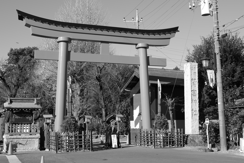 お出かけ(204)-1（鳥居@鷲宮神社）