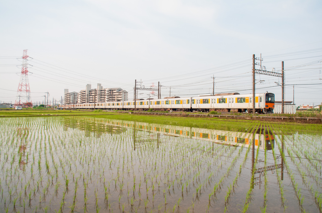 お写ん歩(99)-1（水田×電車）