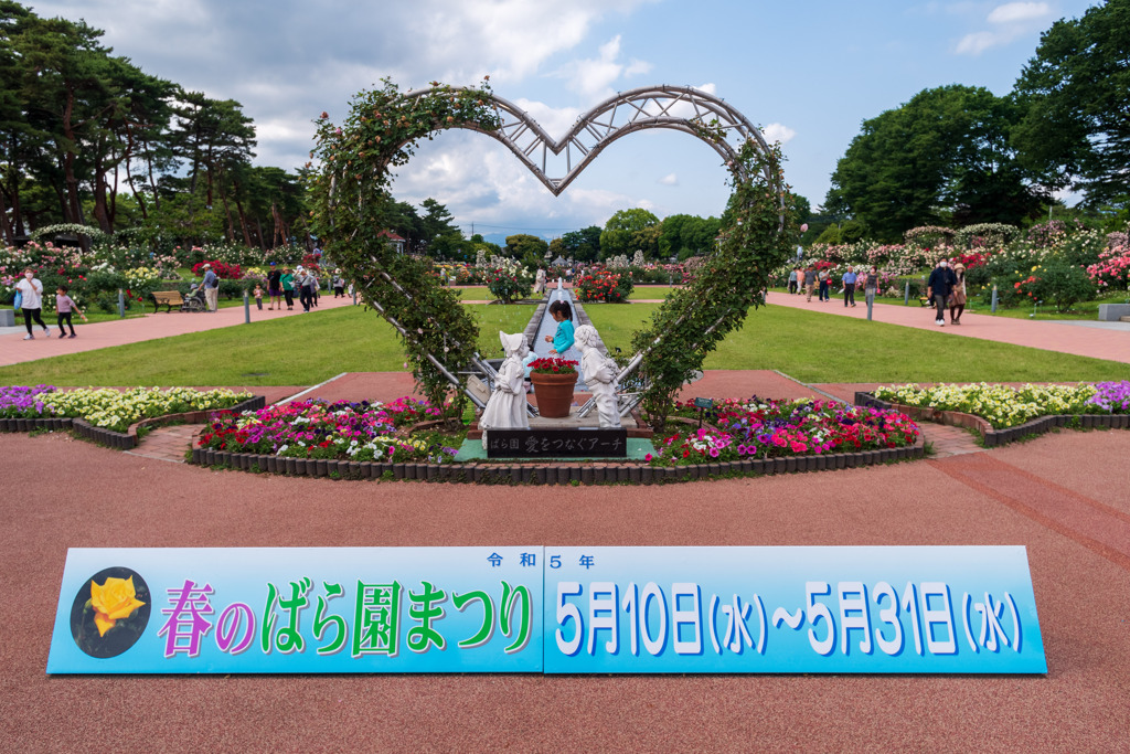 お出かけ(81)-3（バラ@敷島公園門倉テクノばら園）