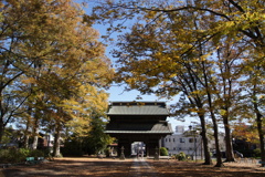 お出かけ(195)-2（紅葉@妻沼聖天山 歓喜院）