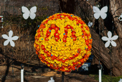 花(3)