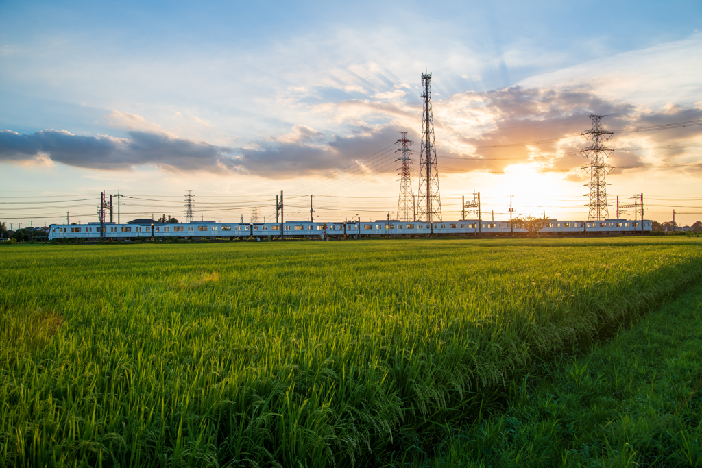 電車と夕日(7)