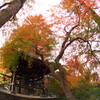 お出かけ(57)-2（紅葉＠清水公園）