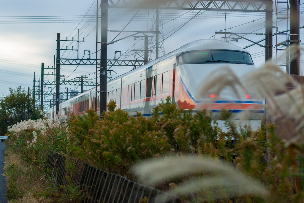 お写ん歩(34)-1（ススキ×電車）