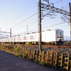 お写ん歩(40)-1（晴れ×電車）