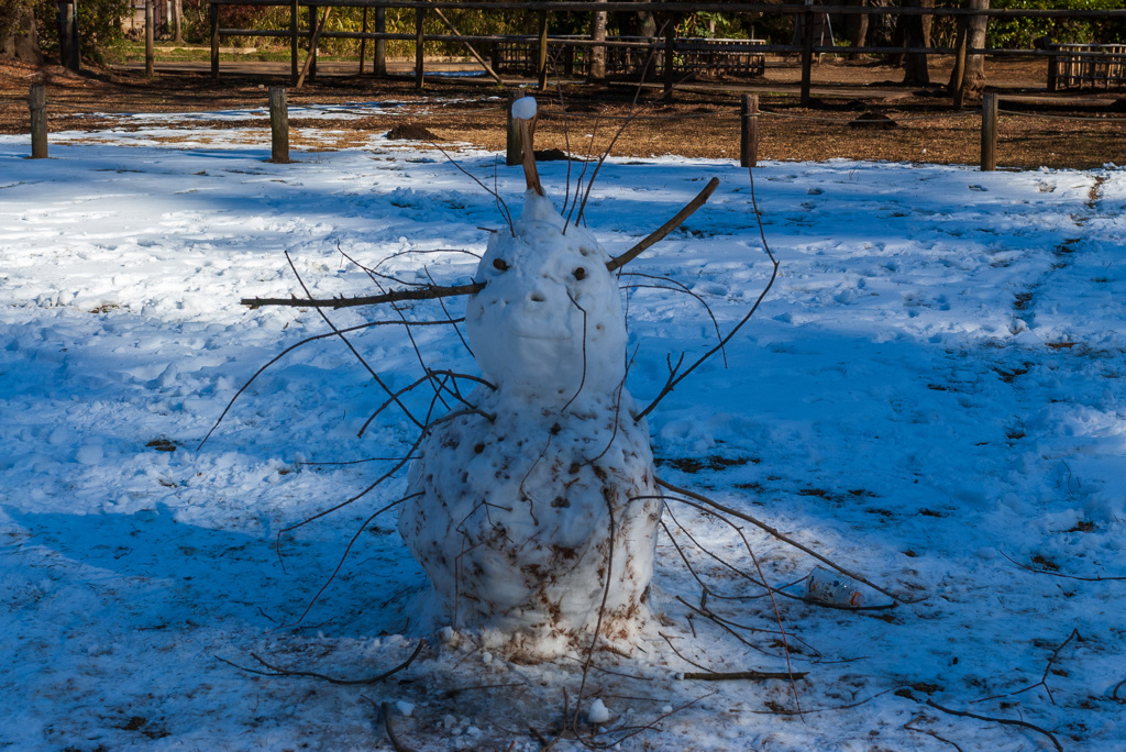 雪だるま