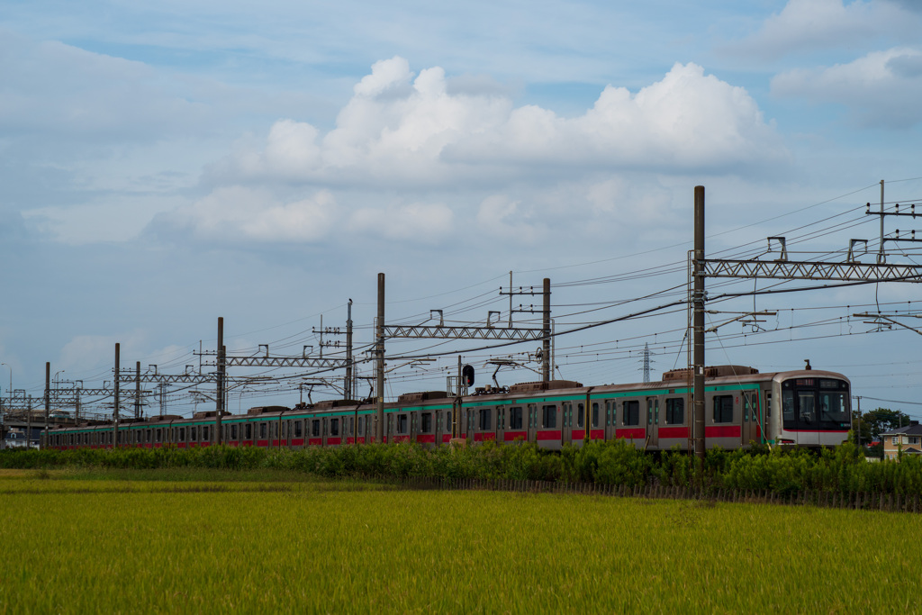 お写ん歩(11)-3（曇り×電車）