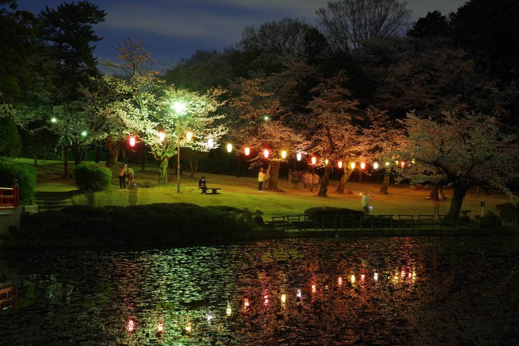 お写ん歩(82)-3（桜×提灯）