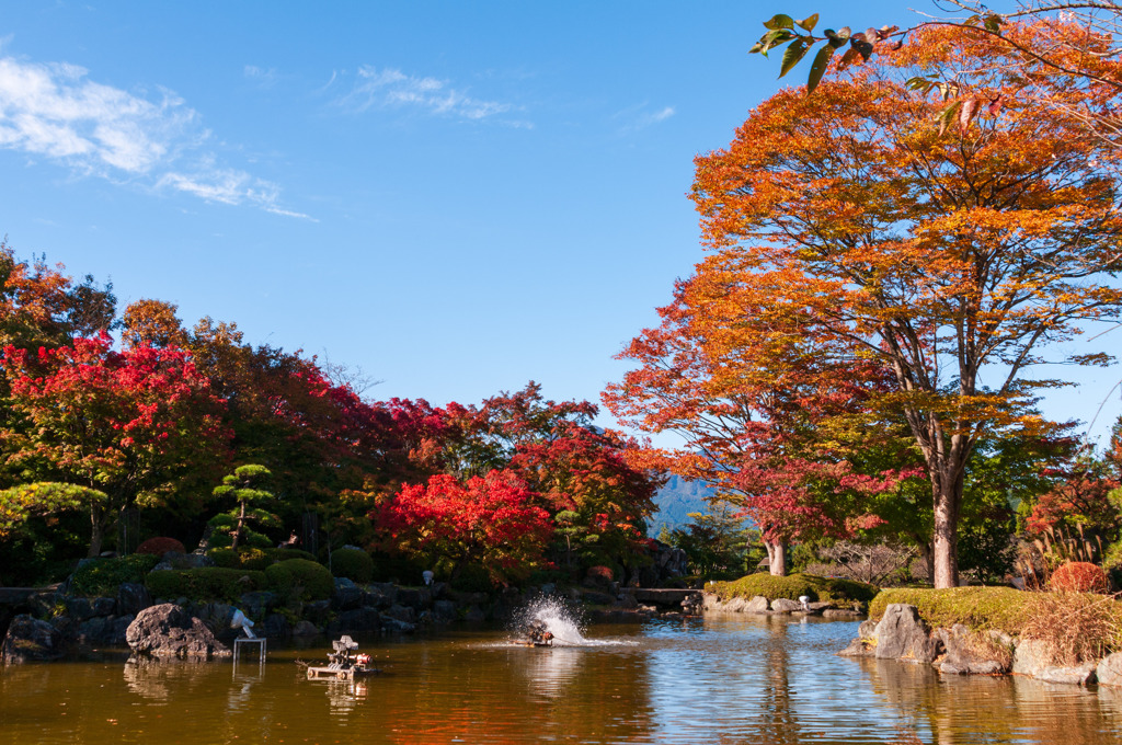 お出かけ(194)-2（紅葉@桜山公園）