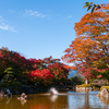 お出かけ(194)-2（紅葉@桜山公園）